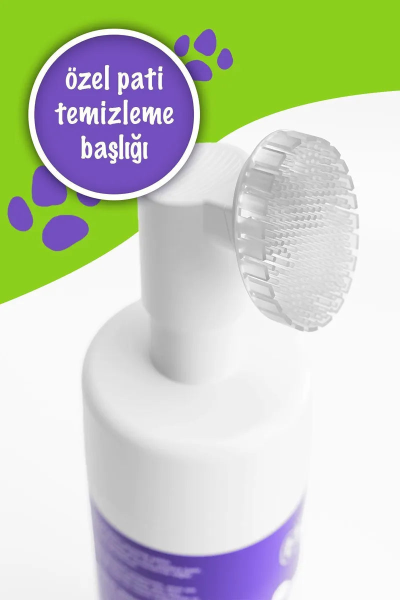 Pati Temizleme Köpüğü