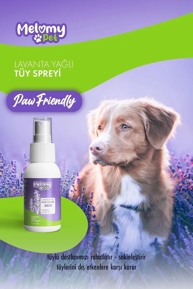 Lavanta Yağlı Tüy Spreyi